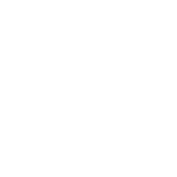 KAUDA FOUNDATION Logo